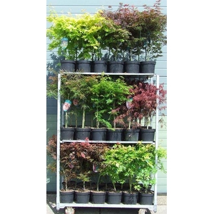 ACER OVERIG
