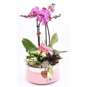 Keramiek schaal roze met label 16cm