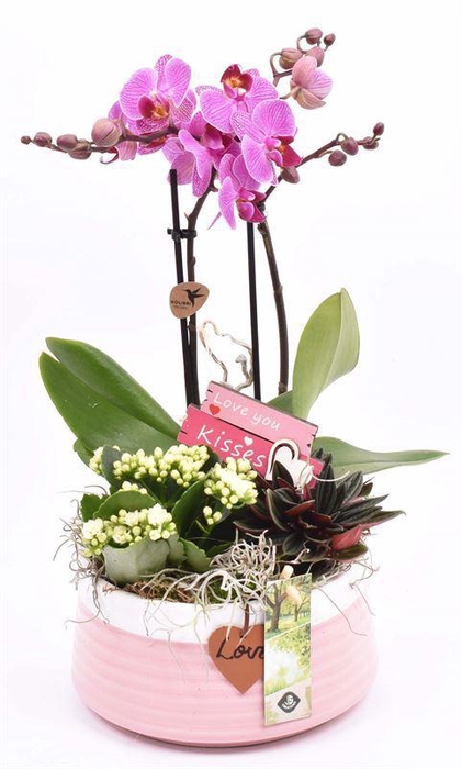 <h4>Keramiek schaal roze met label 16cm</h4>