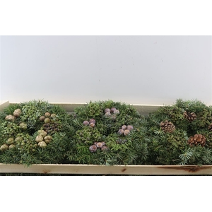 Wr Advent Naturel 30cm ( Anttar )