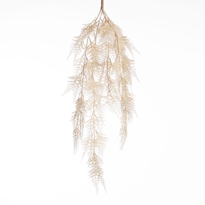 AF Aspa Hng Bush L79cm Cream