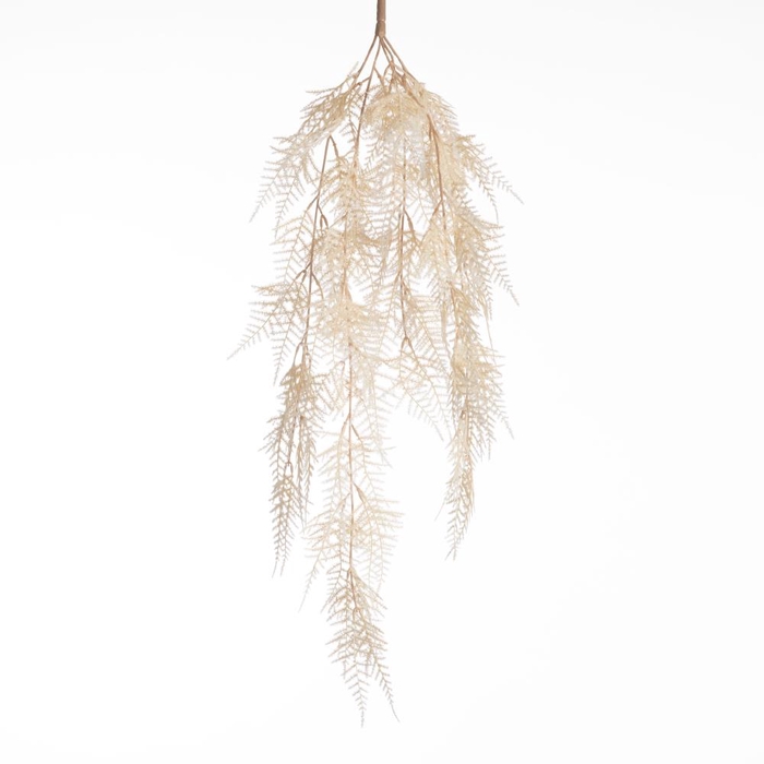 <h4>AF Aspa Hng Bush L79cm Cream</h4>