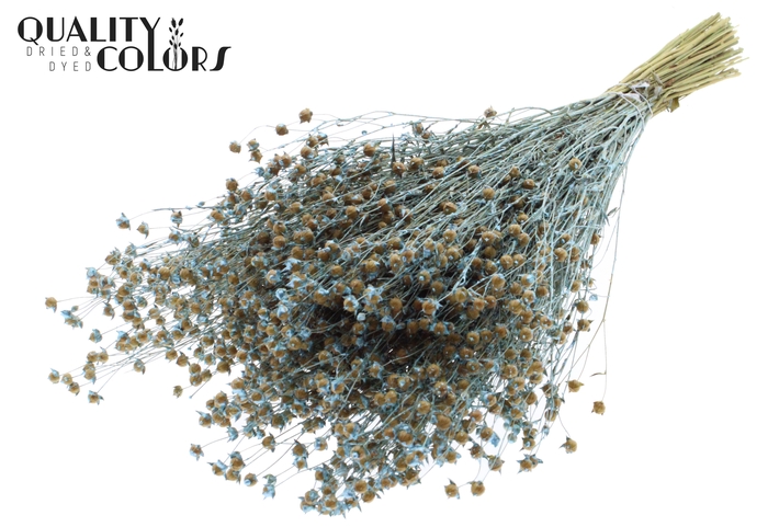 Lino Vlas p/bunch in poly Pearl Blue