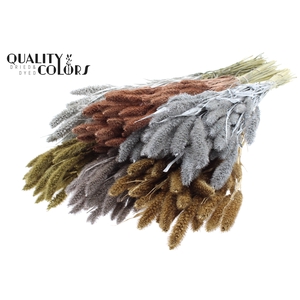 Setaria per bunch Mixed colours Metallic