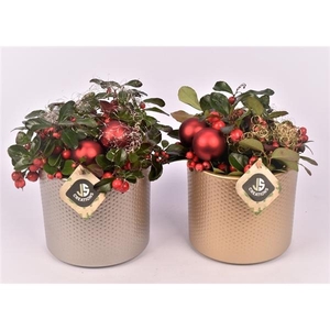 Keramiek pot champagne 14cm Keramiek pot goud 14cm