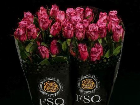 <h4>R Gr Moody Blues</h4>