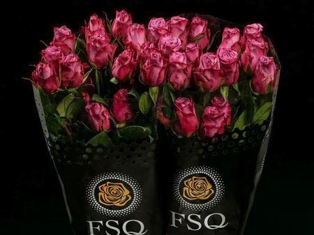 <h4>R Gr Moody Blues</h4>