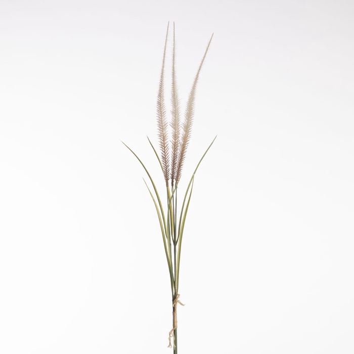 <h4>Af Pennis Bnd X3 71cm Cream</h4>