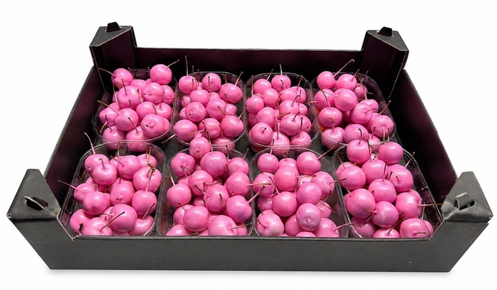 <h4>WAX APPEL H%</h4>