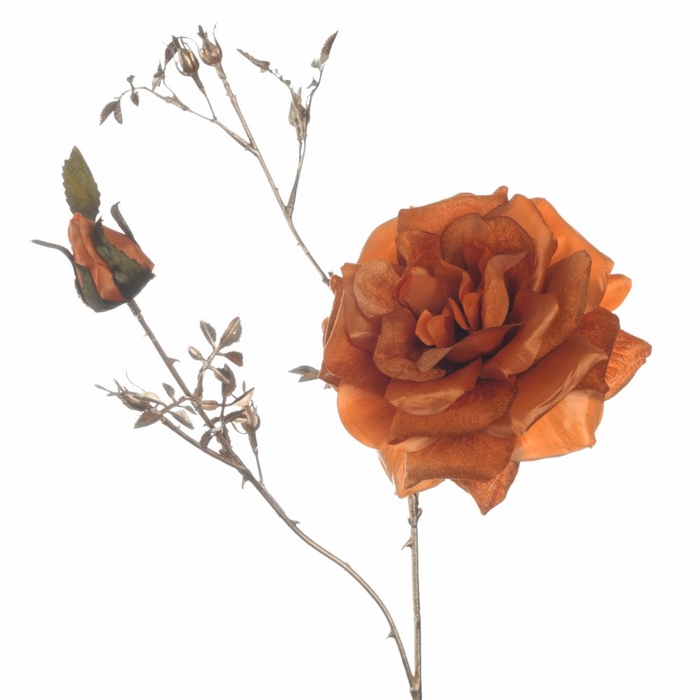 <h4>Af Rosa Spray L81cm Orange</h4>