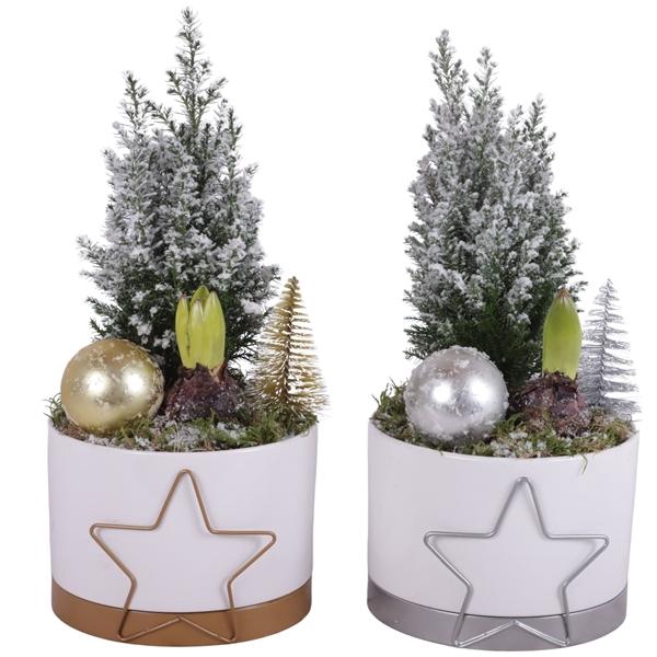 <h4>Christmas Arr. Outdoor Ceramic Pot Metal Starframe Ø16cm 2PP</h4>