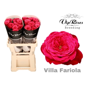 R GR VILLA FARIOLA