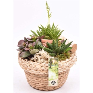 Jute mand met rand 18cm