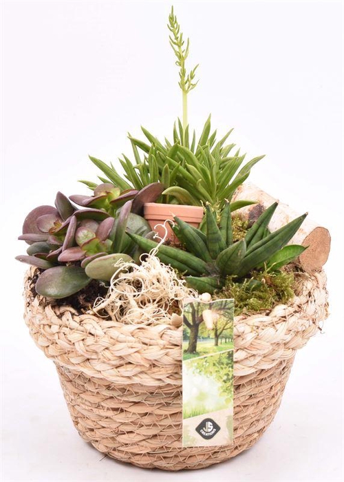 <h4>Jute mand met rand 18cm</h4>