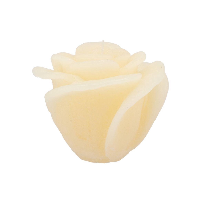 <h4>Candle Roos Ivory 14x12cm</h4>