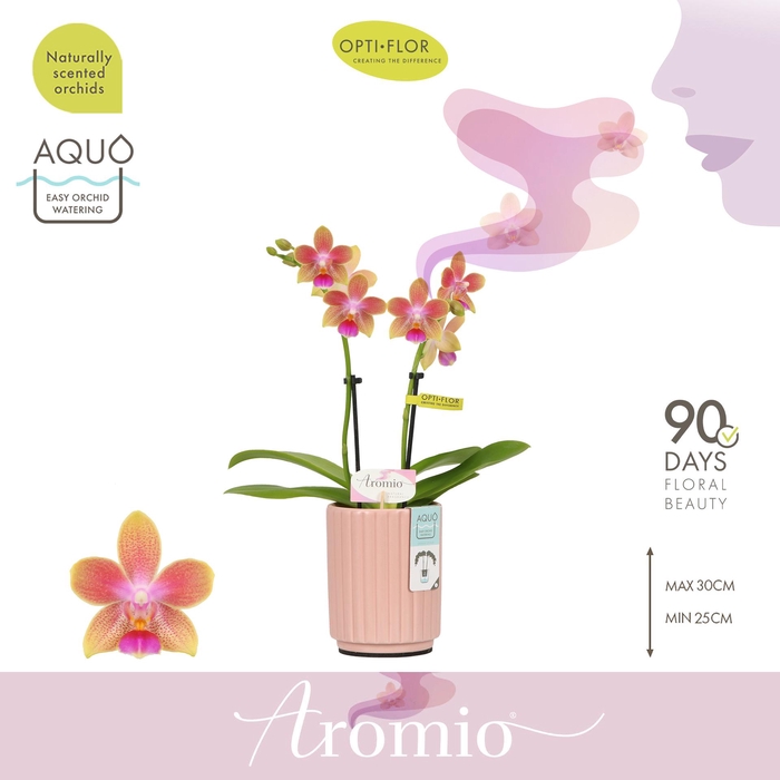 <h4>Aromio Spring 2 spike in Molise Salmon Aquo</h4>