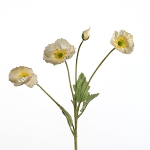 AF Papaver spr/4 fl L60cm cr