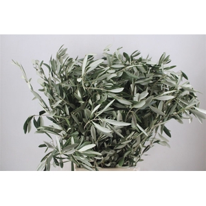 Olijf 300gr P Bunch