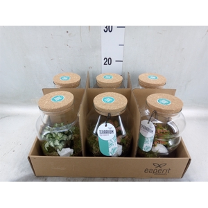 Arr.   Planten L%