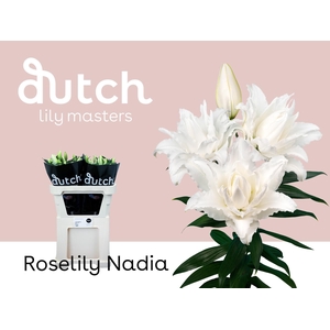 Li Or Du Rl Nadia
