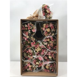 Dr Bq Dried Fantasy Rosa