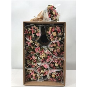 Dr Bq Dried Fantasy Rosa