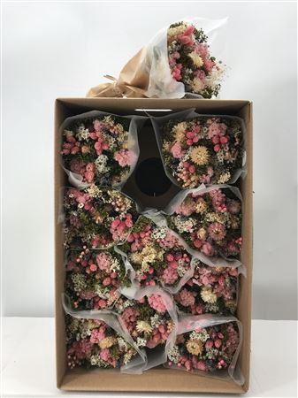 Dr Bq Dried Fantasy Rosa