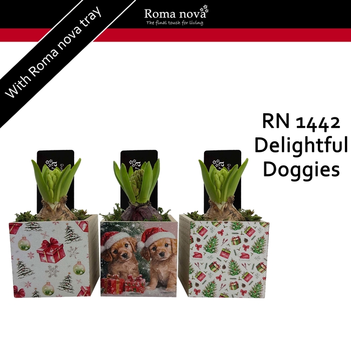 <h4>1442 - Delightful Doggies (Hyacint)</h4>