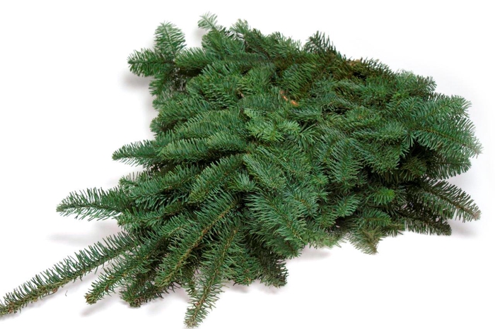 <h4>Abies nobilis lilla snor 5 kg - BR</h4>