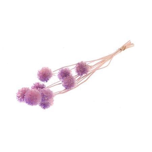 Pres Scabiosa 10pc Lilac Bunch Slv
