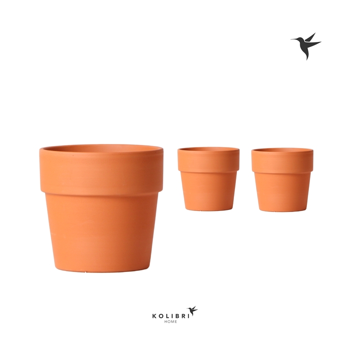<h4>Kolibri Home Terracotta pot 12 cm</h4>