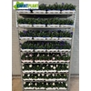 Platyco Mixk 1 Klr Per Tray
