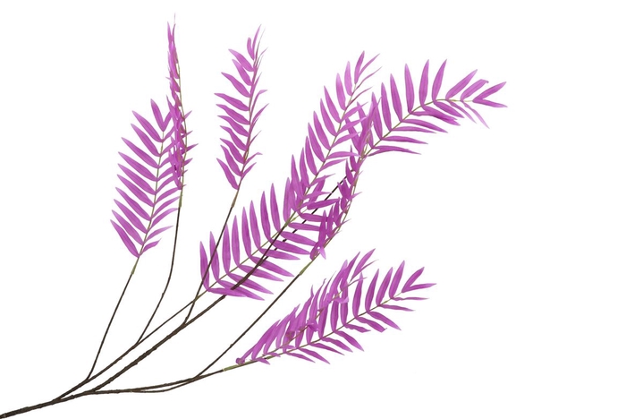 Silk Palm Leaf Purple 150cm Nm