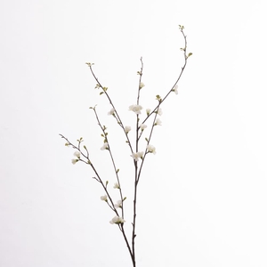 AF Chaenomeles L142cm White