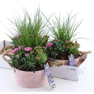 ARR TUINPLANTEN