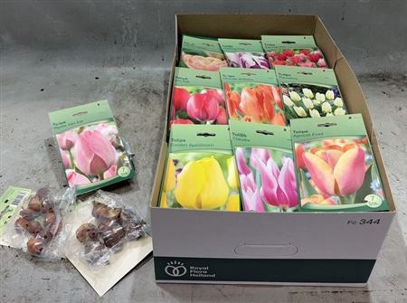 <h4>arr8 Bloembol Tulipa Mixbox</h4>