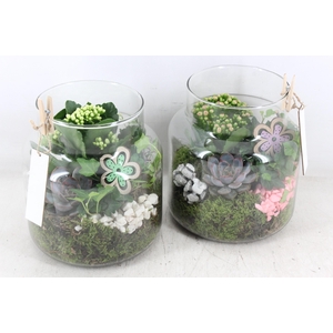 arr2 MB - Glas Sofie - roze/wit