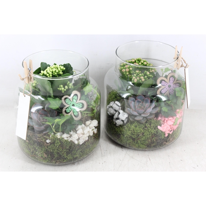 <h4>Arr2 Mb - Glas Sofie - Roze/wit</h4>