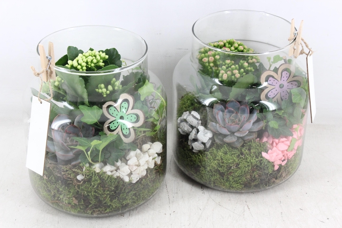 Arr2 Mb - Glas Sofie - Roze/wit