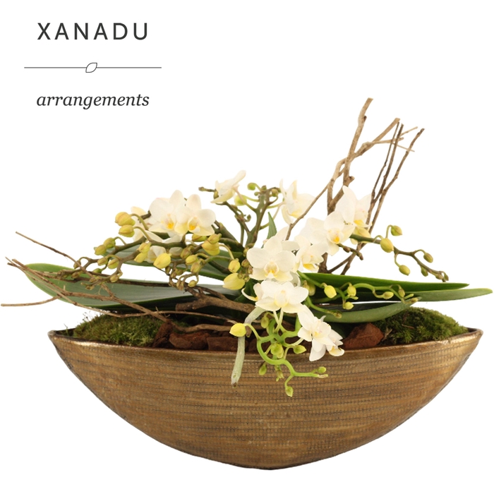 <h4>Xanadu Kuala Lumpur</h4>