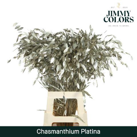 <h4>Chasmanthium L70 Metallic Platina</h4>