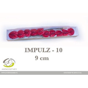 Anth A Impulz 11 cm X24 Spek Flowers