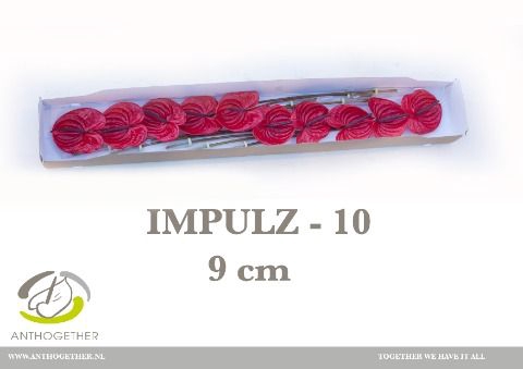 <h4>Anth A Impulz 11 cm X24 Spek Flowers</h4>