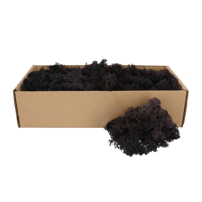 <h4>Preserved Reindeermoss 400-500g</h4>