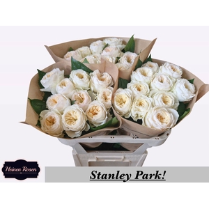 R GR STANLEY PARK!