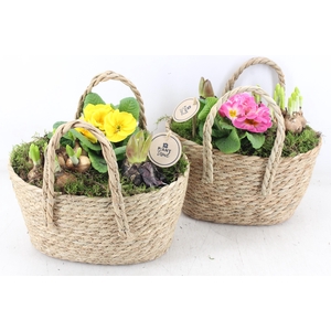 arr4 Primula PL - Mand ovaal tas x5