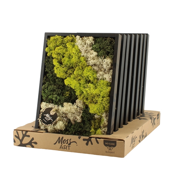 90638: Moss Art arrangement D38