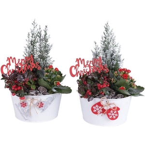 Christmas Arr. Oudoor Zinc Pot X-Mas White Ø19cm 3PP