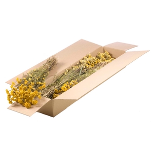 Lona Sb Natural Yellow