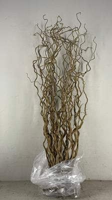 <h4>Corylus (1-jarig)</h4>